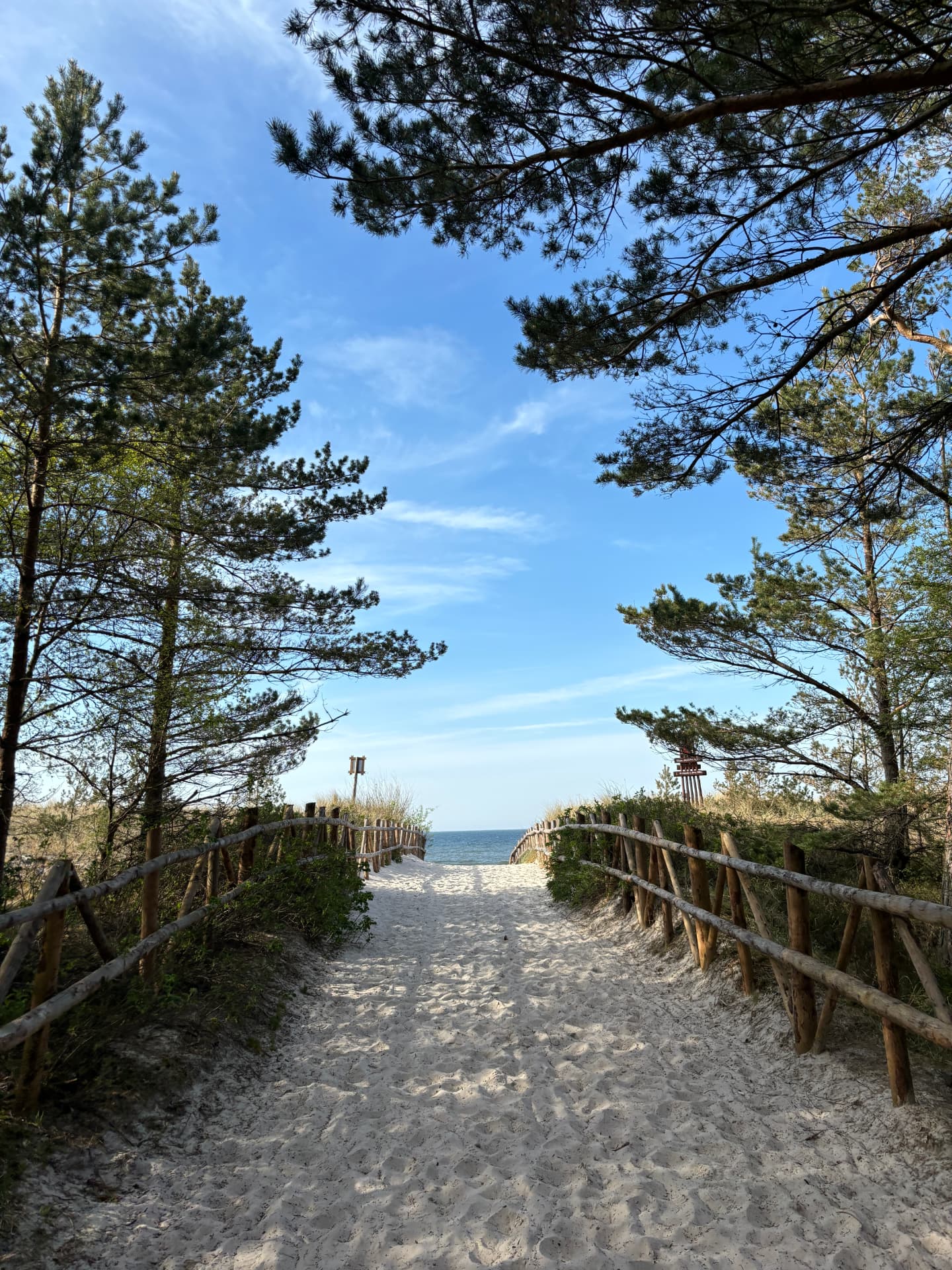 Ścieżka przez sosny na plażę w Lubiatowie